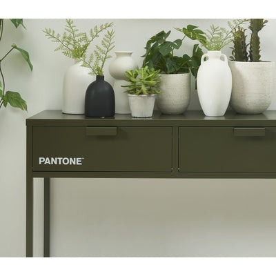Console PANTONE métal vert olive foncé 2 tiroirs 100cm