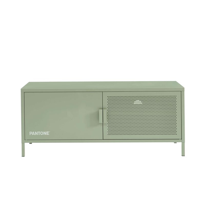 Meuble TV industriel 120cm en métal vert amande, design PANTONE sur mesure