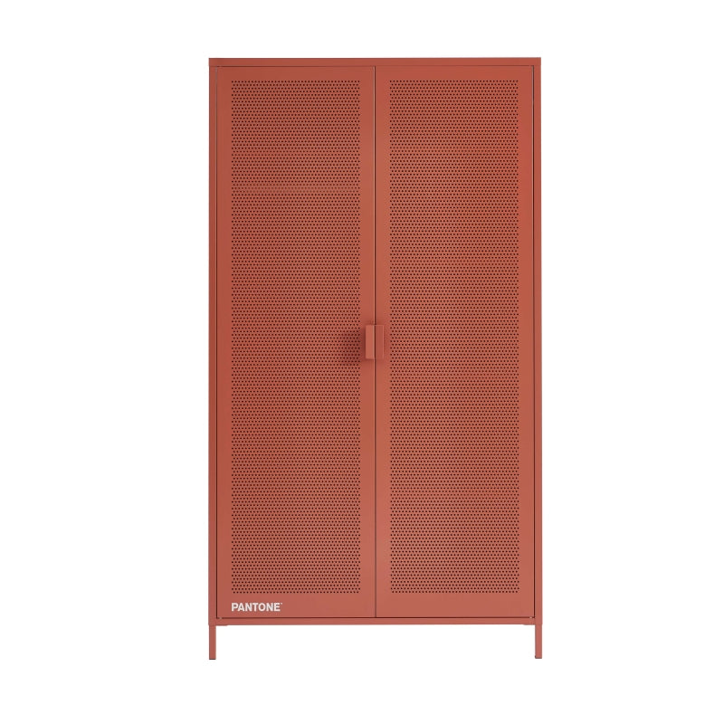 Armoire 2 portes métal terracotta finition époxy mat, design contemporain épuré